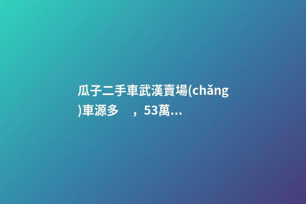 瓜子二手車武漢賣場(chǎng)車源多，5.3萬在售，僅奧迪品牌就有3000多輛